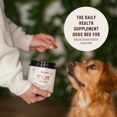 Duck Flavored Chew Joint Supplement for Dogs, 90 count