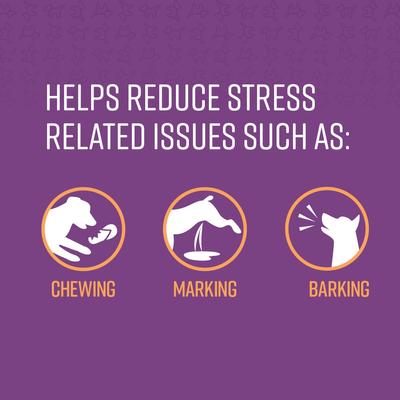 Behavior Portable Calming Diffuser for Dogs