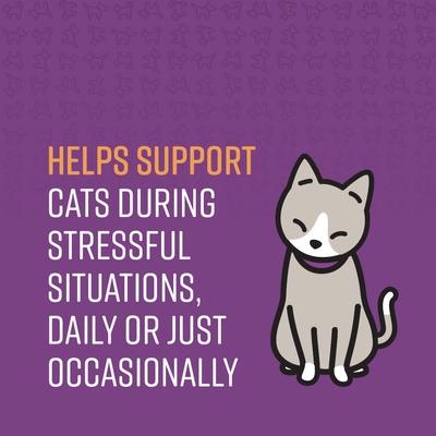 Calming Chews Supplement for Cats, 4-oz bag