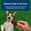 Bundle: Blue Buffalo Health Bars Baked with Bacon, Egg & Cheese + Nudges Grillers Steak Natural Dog Treats