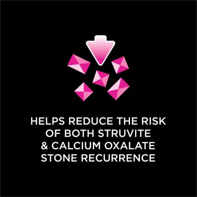 UR Urinary St/Ox Savory Selects Salmon in Sauce Wet Cat Food, 5.5-oz can, case of 4