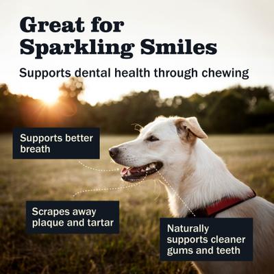 7" Odor-Free Braided Bully Stick Dog Treat, 1 count