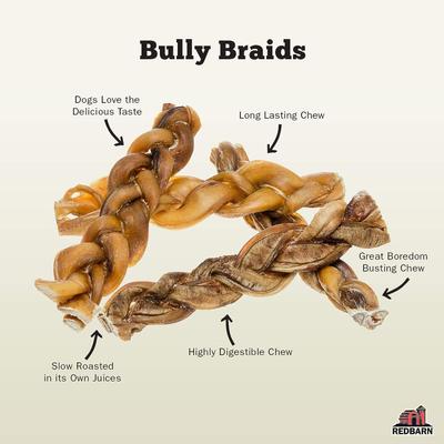 Naturals Braided Bully Sticks 12" Dog Treats, 2 count