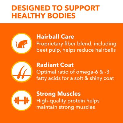 Proactive Health Long Hair Care with Real Chicken & Salmon Adult Dry Cat Food, 3-lb bag