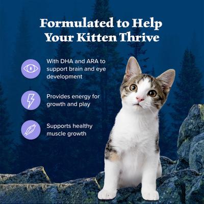 Bundle: Blue Buffalo Wilderness Kitten Salmon Grain-Free Canned Food + Chicken Recipe Grain-Free Dry Cat Food