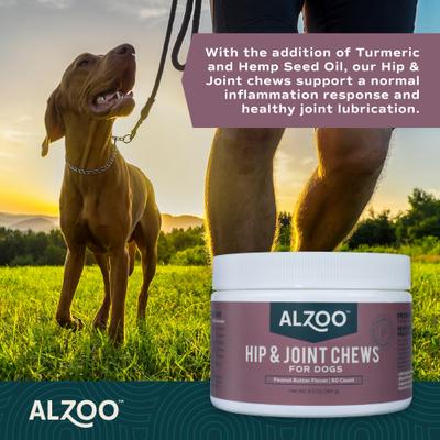 Hip & Joint Soft Chews Supplement for Dogs, 90 count