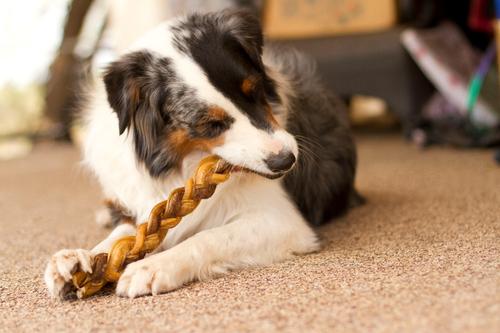 Naturals Braided Bully Sticks 12" Dog Treats, 2 count
