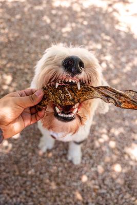 Bully Slices Peanut Butter Flavor Beef Dog Treats, 9-oz bag