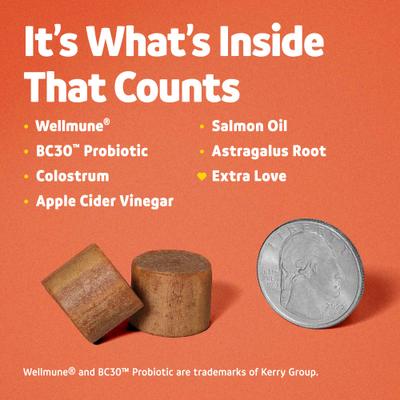 Bundle: Vibeful Favorites Bundle – Allergy & Multivitamin Support Peanut Butter & Chicken Dog Soft Chew Supplements, 28 count