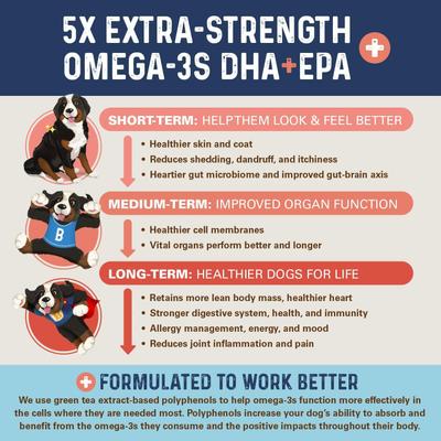 OMG! Omegas 5X Extra Strength Omega-3s DHA+EPA Skin & Coat, Allergy, Calming & Joint Support Pork Flavor Fish Oil Chews Supplement for Dogs, 90 count