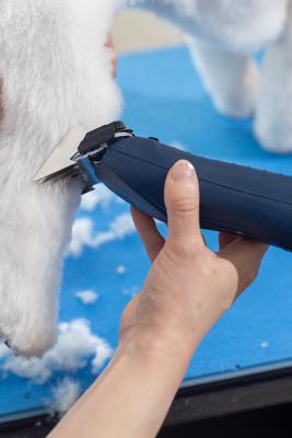 KMC+ Pet Clipper, Navy