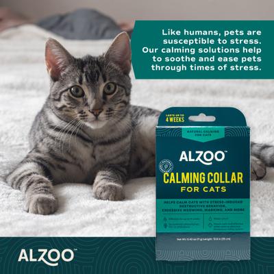 Natural Plant Based Calming Cat Collar