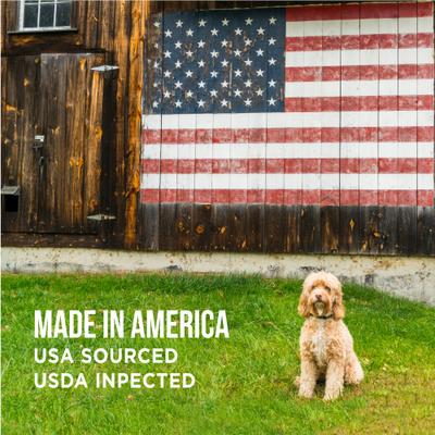 Salmon Freeze-Dried Dog & Cat Treats, 3-oz bag