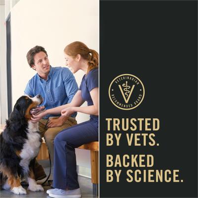 Alimento seco para perros Puppy Shredded Blend con pollo y arroz y probióticos, bolsa de 34 lb