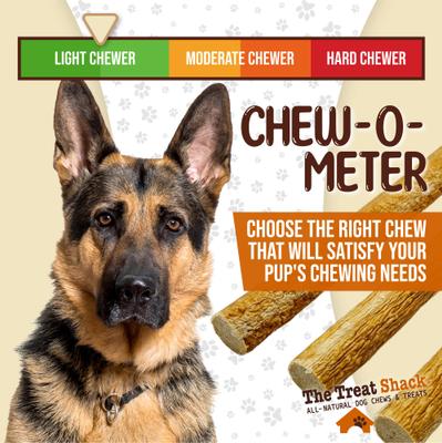 Made 100% Real Chicken Sausage High-Protein Soft & Chewy Dog Treats, 6-in, 20 count