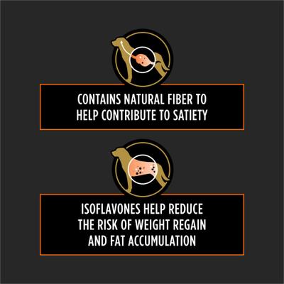 OM Overweight Management Dry Dog Food, 6-lb bag