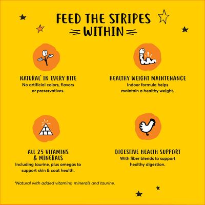 Natural Indoor Recipe Chicken Flavor Dry Cat Food, 18-lb bag, bundle of 3