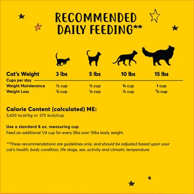 Natural Indoor Recipe Chicken Flavor Dry Cat Food, 18-lb bag, bundle of 3