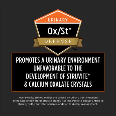 OM Overweight Management Dry Dog Food, 6-lb bag