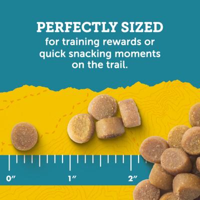 Puppy Naturals Salmon Recipe Soft & Chewy Training Dog Treats, 3-oz pouch