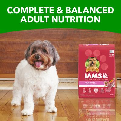Proactive Health Lamb & Rice Recipe Small Breed Dry Dog Food, 15-lb bag