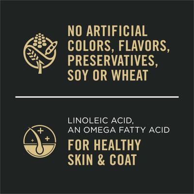 Sensitive Skin & Stomach Pate Salmon & Rice Entree Wet Dog Food, 13-oz can, case of 12