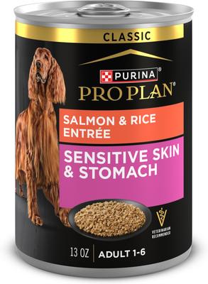 Sensitive Skin & Stomach Pate Salmon & Rice Entree Wet Dog Food, 13-oz can, case of 12