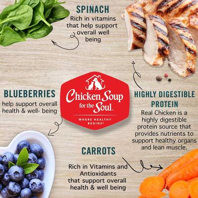 Classic Cuts in Gravy Chicken, Brown Rice & Vegetables Recipe Adult Dog Food, 13-oz can, case of 12