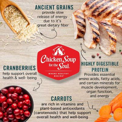 Puppy Pate Chicken, Turkey & Duck Recipe Canned Dog Food, 13-oz, case of 12