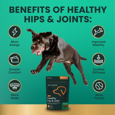 GlycoFlex Sport Healthy Hip & Joint Chicken Flavored Chews with Glucosamine & Green-Lipped Mussel Joint Supplement for Dogs, 60 count