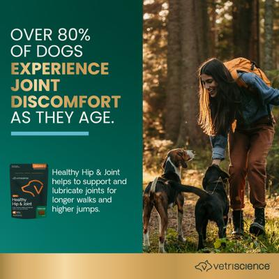 GlycoFlex Sport Healthy Hip & Joint Chicken Flavored Chews with Glucosamine & Green-Lipped Mussel Joint Supplement for Dogs, 60 count