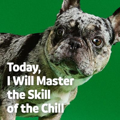 Calming Melatonin Turkey Flavored Soft Chews Calming Supplement for Dogs, 90 count, bundle of 2