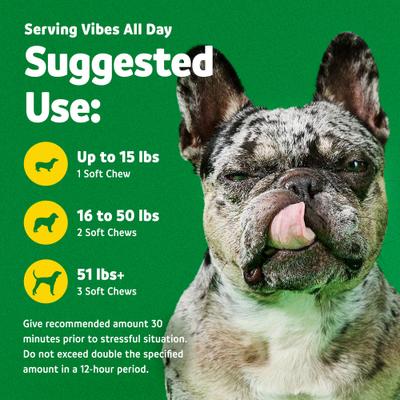 Calming Melatonin Turkey Flavored Soft Chews Calming Supplement for Dogs, 90 count, bundle of 2