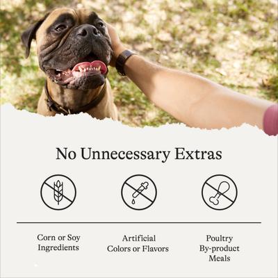 Active Life Chicken & Rice Flavor Large Biscuit Dog Treats, 15-lb box, bundle of 2