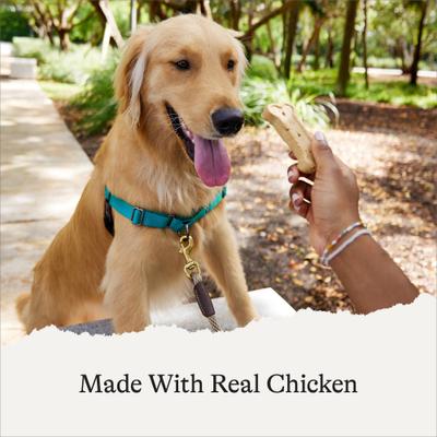 Active Life Chicken & Rice Flavor Large Biscuit Dog Treats, 15-lb box, bundle of 2