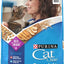 Purina Cat Chow Complete High Protein with Real Salmon Dry Cat Food, 15-lb bag