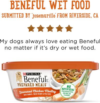 Freshly Prepared Meals Simmered Chicken Medley with Carrots, Green Beans & Wild Rice Wet Dog Food, 10-oz, case of 8