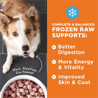 Paquete: Alimento seco Instinct Raw Boost con carne de res real y trozos crudos liofilizados + Alimento para perros con bocados crudos congelados con carne de res real