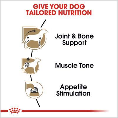 Breed Health Nutrition Dachshund Adult Loaf in Sauce Canned Dog Food, 3-oz, case of 24