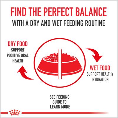 Breed Health Nutrition Golden Retriever Loaf Pate Adult Wet Dog Food, 13.5-oz, case of 12