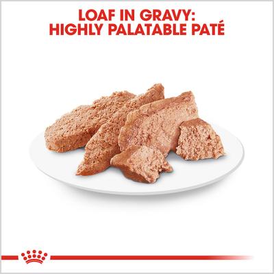 Breed Health Nutrition Pomeranian Adult Loaf in Sauce Canned Dog Food, 3-oz, case of 4