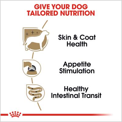 Breed Health Nutrition Yorkshire Terrier Adult Loaf In Sauce Wet Dog Food, 3-oz, case of 24