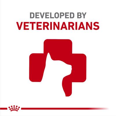 Kitten Gastrointestinal Dry Cat Food, 4.4-lb bag