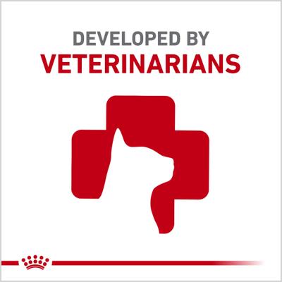 Feline Health Nutrition Indoor Long Hair Adult Dry Cat Food, 6-lb bag