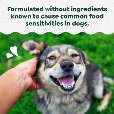 Skin & Coat Sensitive Care Peanut Butter Flavor Supplement for Dogs, 80 count