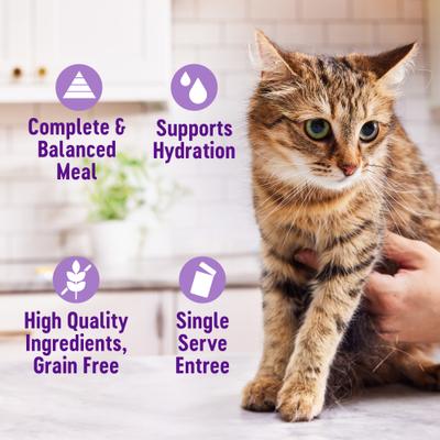 Appetizing Entrees Shredded Poultry Variety Pack Natural Grain-Free Mousse Wet Cat Food, 1.4-oz pouch, case of 8