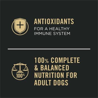 Sport High Protein Beef & Bison Entrée Wet Dog Food, 13-oz can, case of 12