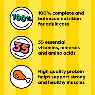 Chicken, Seafood, Backyard Cookout & Catnip Variety Pack Bites in Gravy Adult Wet Cat Food, 3.5-oz tray, case of 24