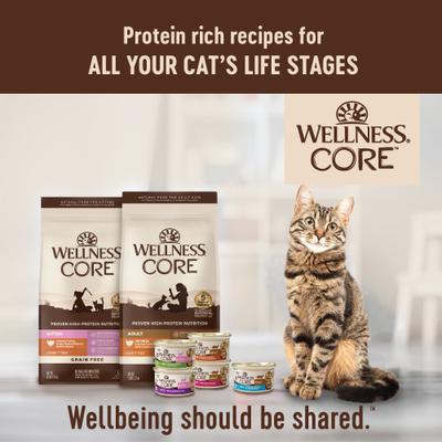 CORE Signature Selects Shredded Boneless Chicken & Turkey Entree in Sauce Grain-Free Natural Canned Cat Food, 5.3-oz, case of 12