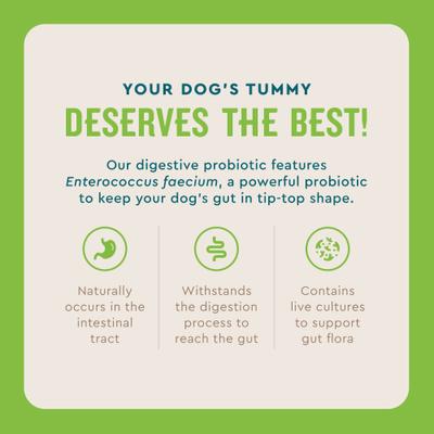 Chicken Flavored Probiotic Powder Supplement for Dogs & Puppies, 30 count